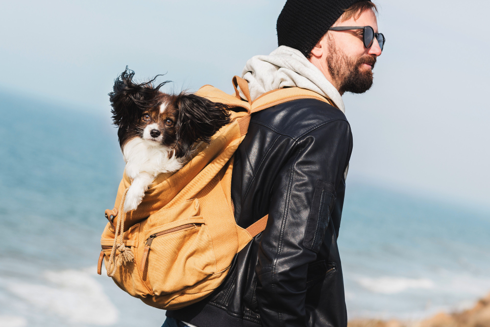 Man travelling with dog