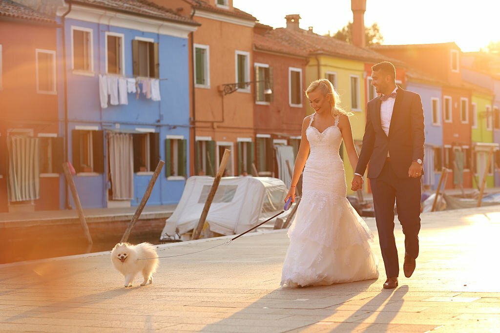 Destination wedding for pet lovers