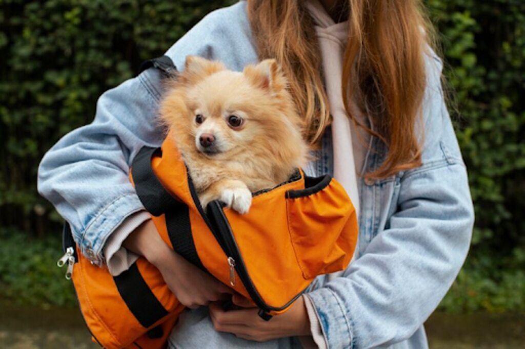 girl carrying a puppy in bag front view