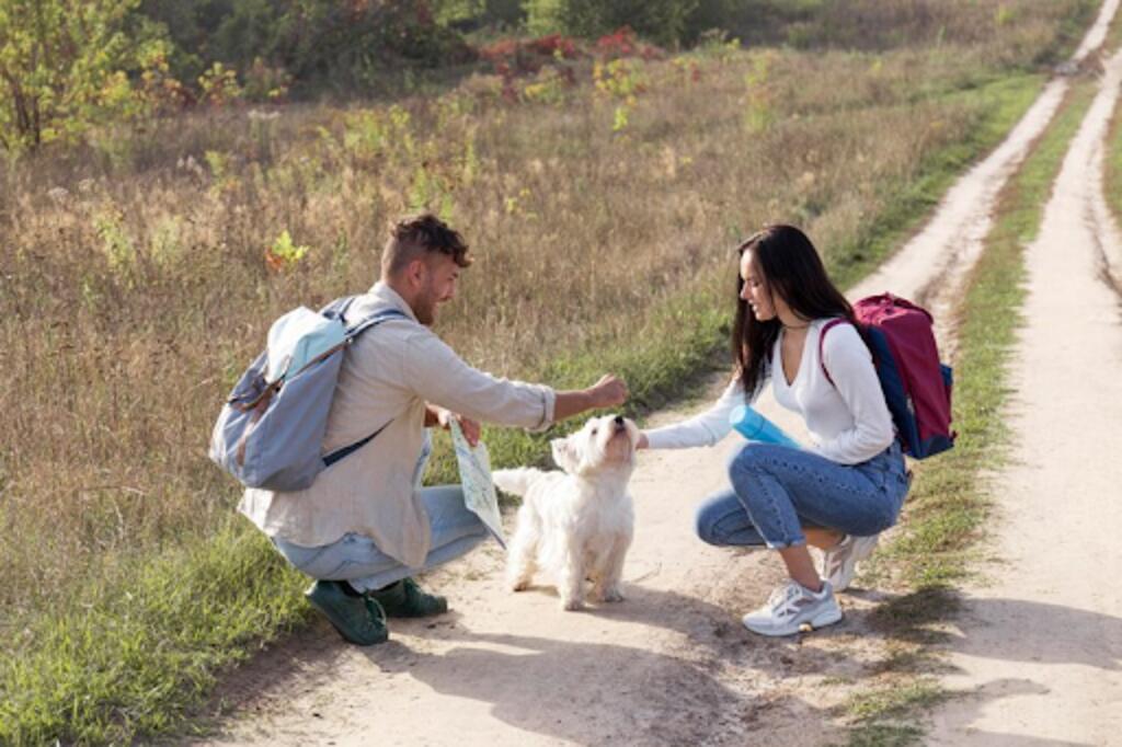 couple traveling with dog 