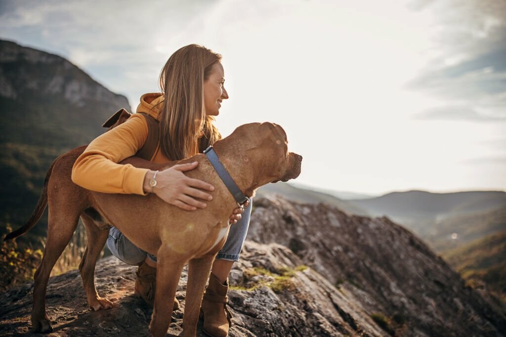 Exploring the place with your pet