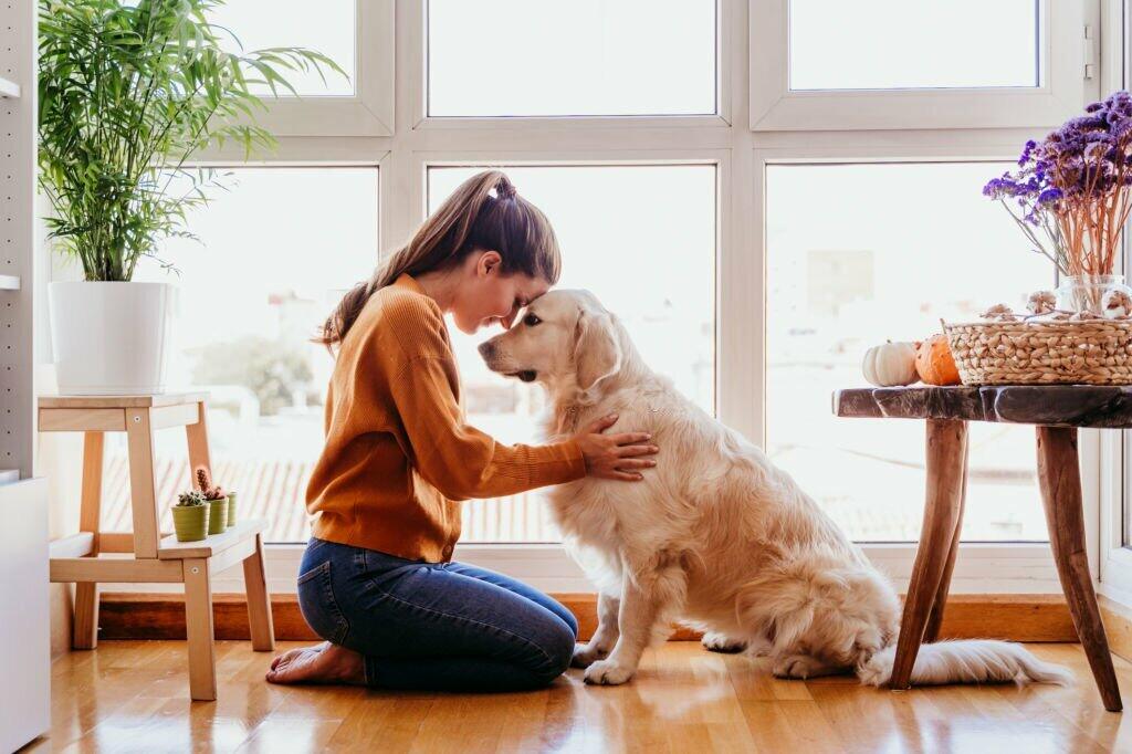 Breakup Recovery with Pets