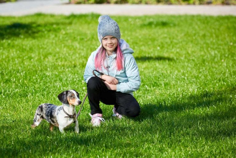 Benefits of Pet-Friendly Artificial Turf